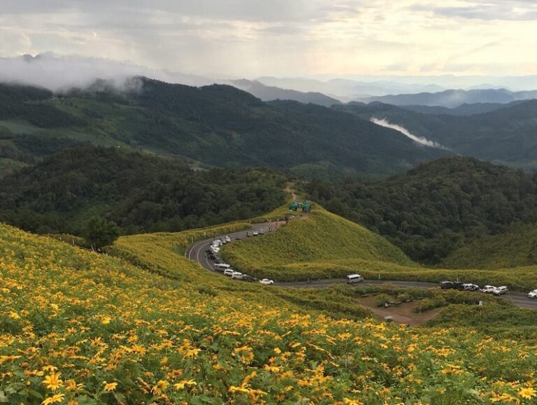 riverhouse 01 768x579