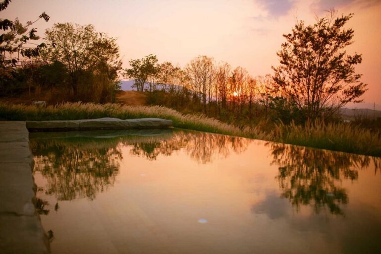 roukh kiri 10 768x512