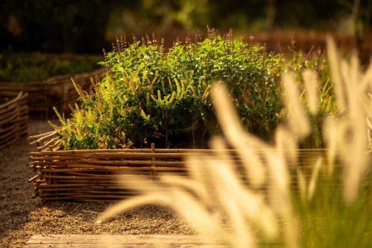 roukh kiri 11 768x512