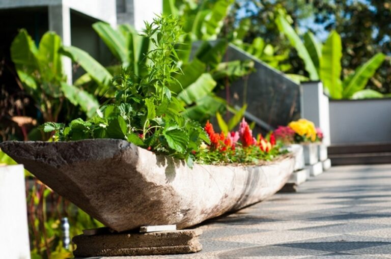 tanya baan 09 768x509