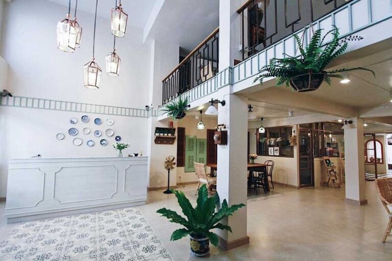 vera nidhra 02 768x512