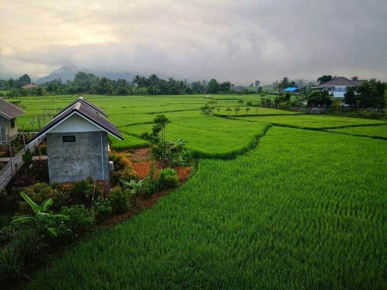 vieng pua 01 768x576