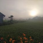 vieng pua 02 150x150