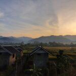 vieng pua 07 150x150