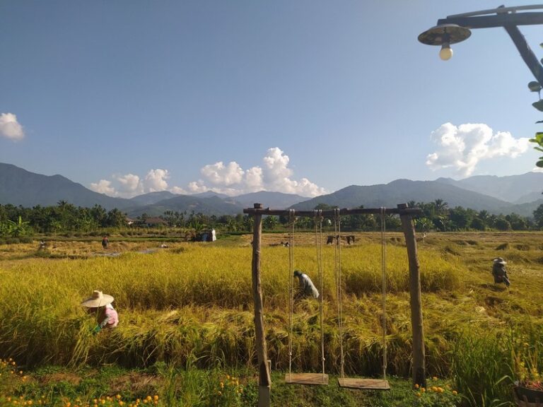 vieng pua 08 768x576