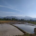 vieng pua 09 150x150