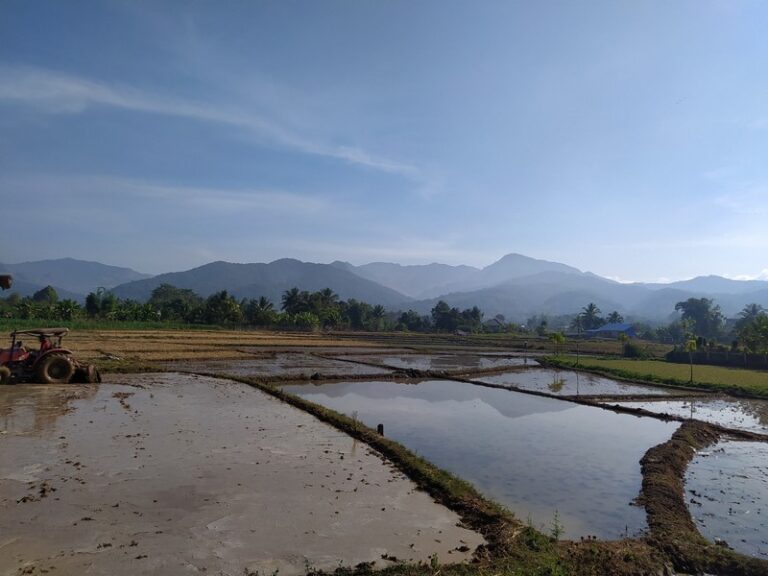 vieng pua 09 768x576