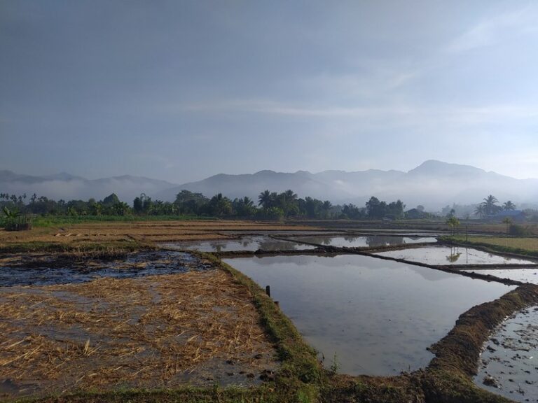 vieng pua 10 768x576