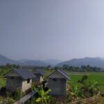 vieng pua 12 150x150