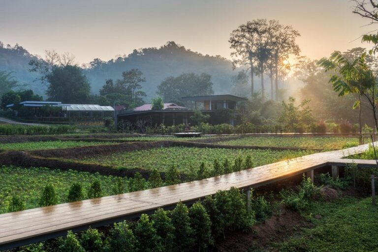 villa de view 06 768x511