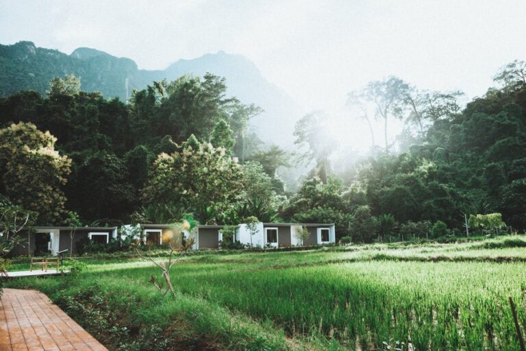 villa de view 09 768x512