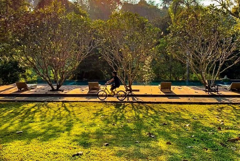 wanathara 07 768x516