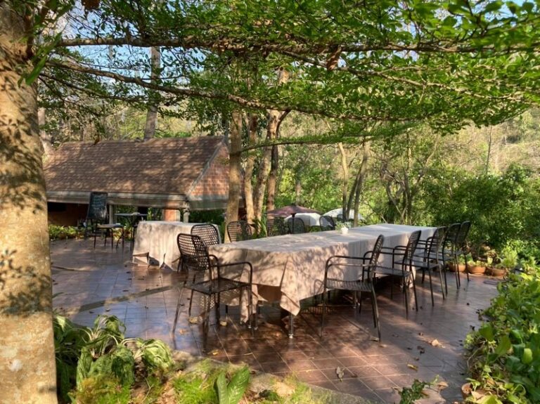 wanathara 11 768x575