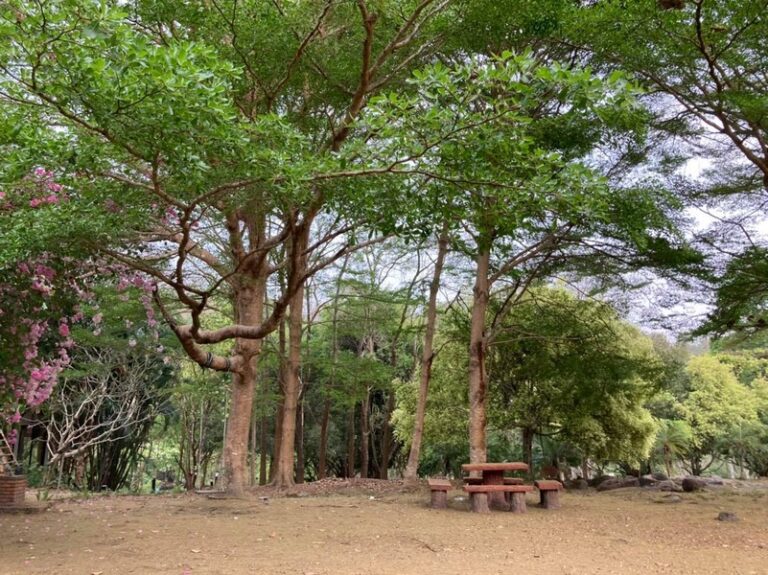 wanathara 12 768x575