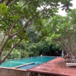 wanathara 20 150x150