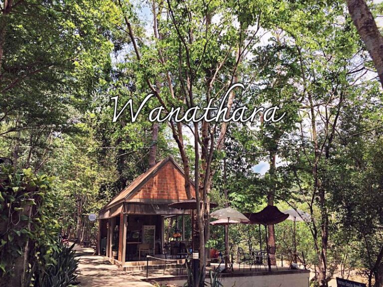 wanathara 22 768x576