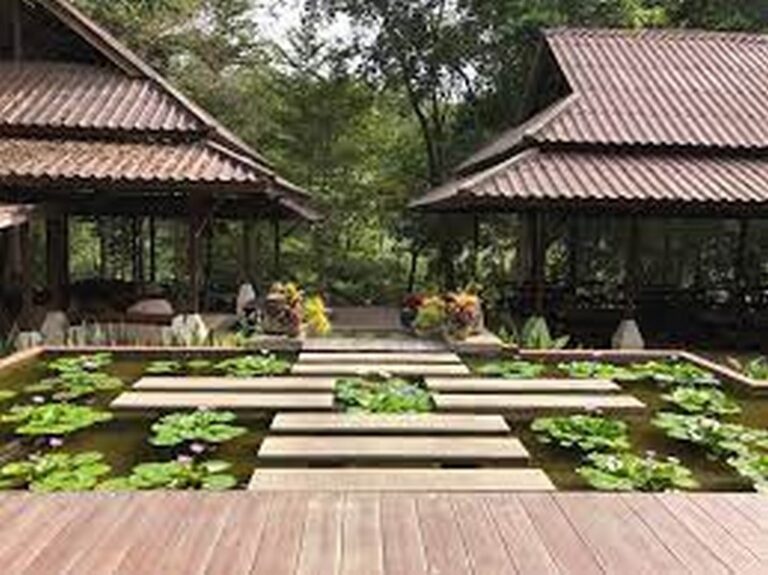 wanathara 23 768x575