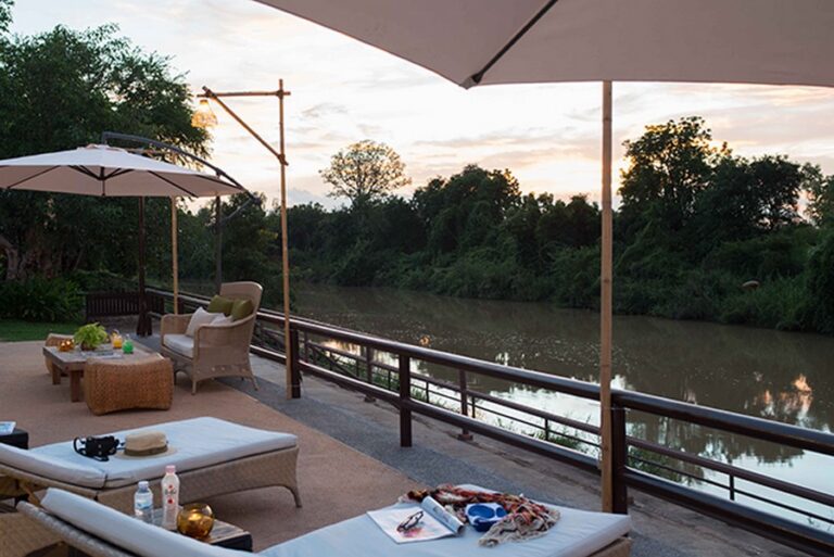 wishing tree 02 768x513