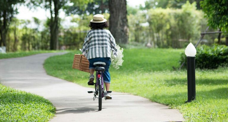 wishing tree 12 768x412