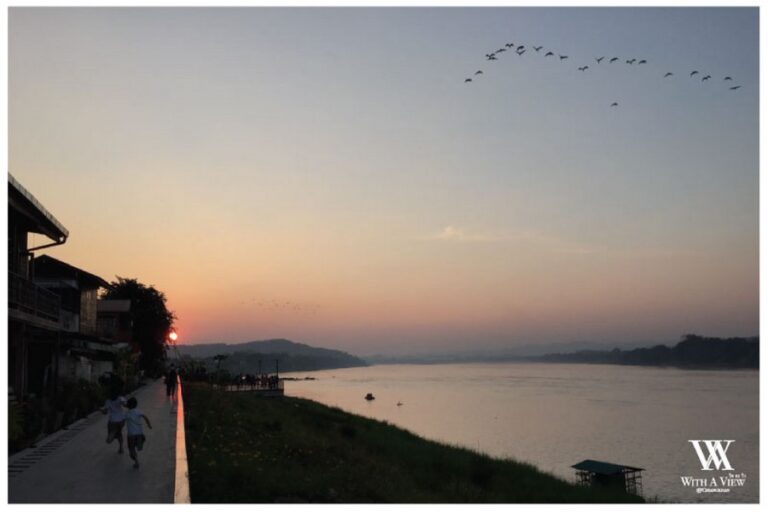 with a view 10 768x512