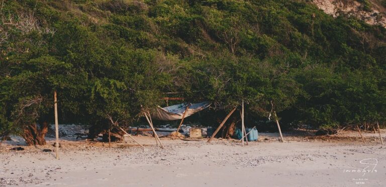 Plursukjai Cafe13 768x373