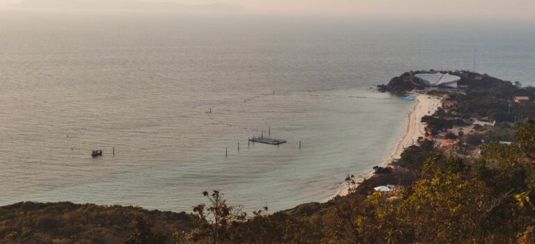 Plursukjai Cafe16 768x350