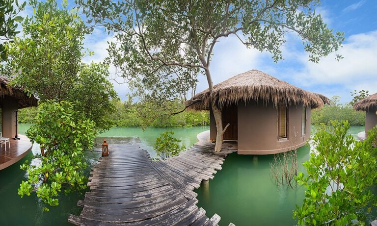 at the blue sky 08 768x461