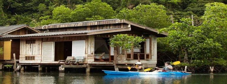 bann makok04 768x284