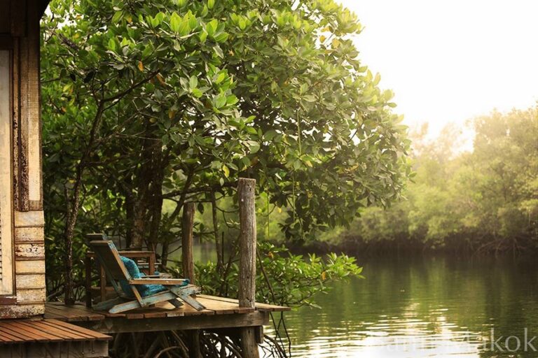 bann makok05 768x512