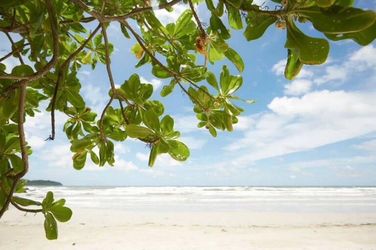 bann makok08 768x512