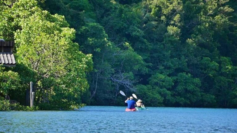 bann makok11 768x433