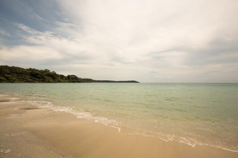 bann makok13 768x512