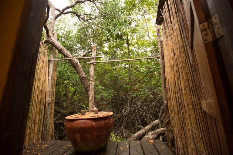 bann makok19 768x512