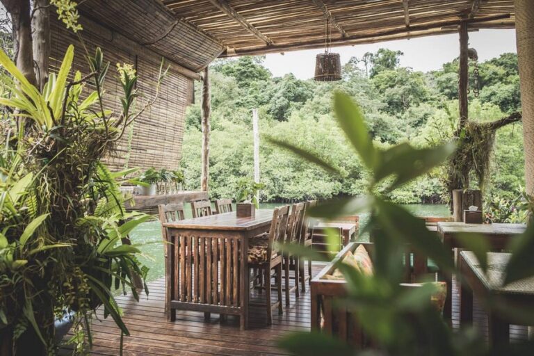 bann makok25 768x512