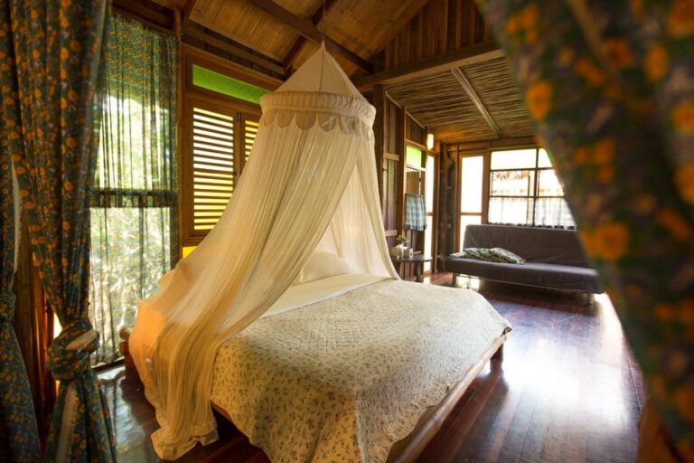 bann makok26 768x512