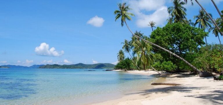 lazy day resort01 768x362