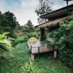 lum plaiklong12 150x150