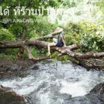 lum plaiklong15 150x150