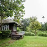 lum plaiklong17 150x150