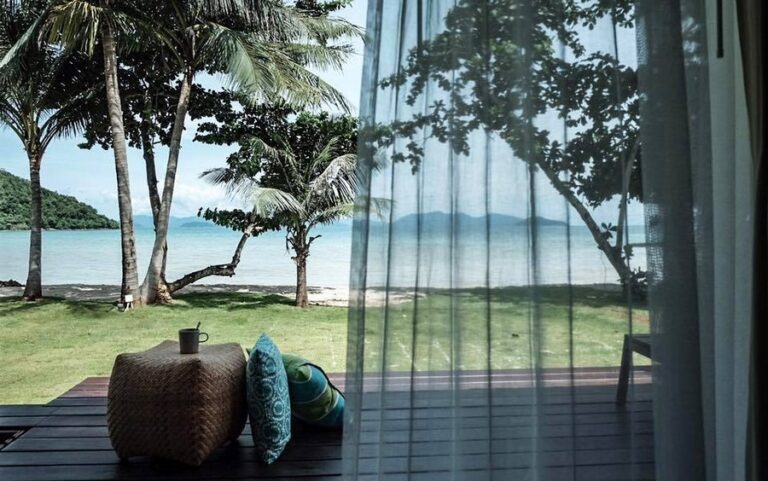 mira montra01 768x481