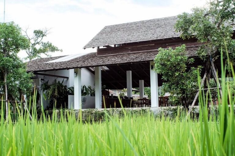 mira montra03 768x512