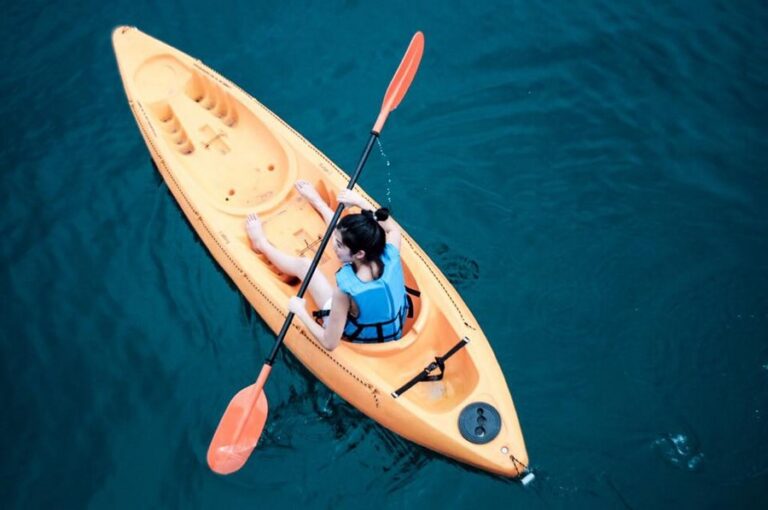 mira montra05 768x510