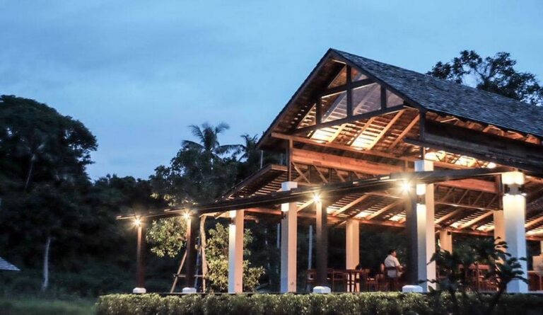 mira montra07 768x445