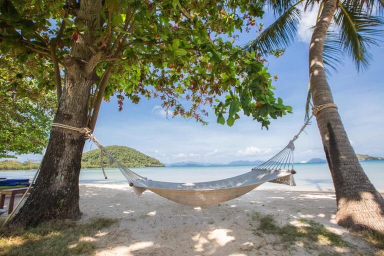 mira montra12 768x512