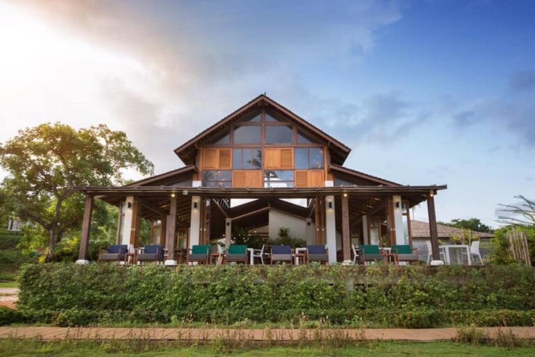 mira montra15 768x512