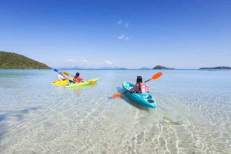 mira montra16 768x512