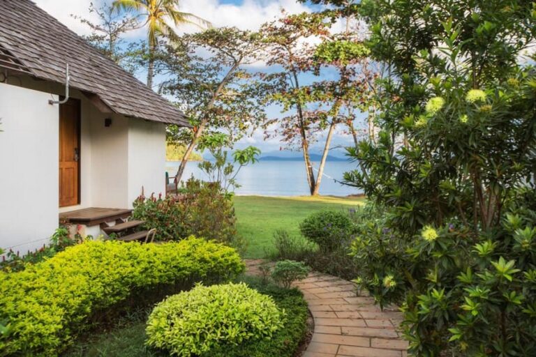 mira montra18 768x512