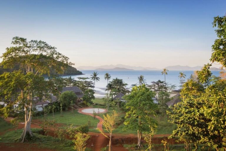 mira montra21 768x512