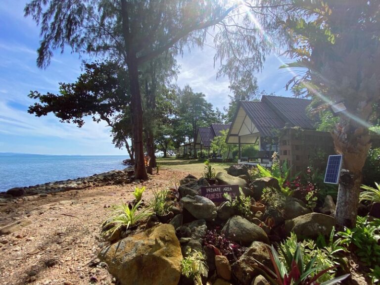 ta lay time12 768x576