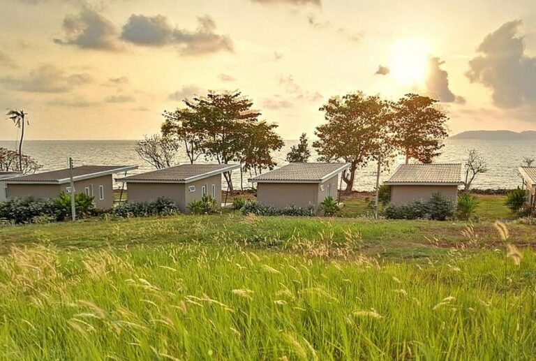 ta lay time14 768x517